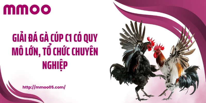 Giải đá gà cúp C1 có quy mô lớn, tổ chức chuyên nghiệp
